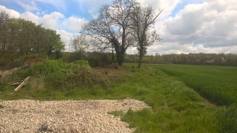 WP_20160503_11_46_05_Pro.jpg