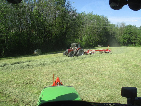 IMG_1369.jpg