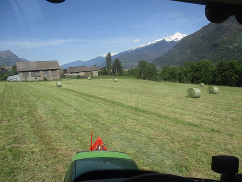 IMG_1360.jpg