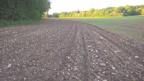 WP_20160515_20_37_07_Pro.jpg