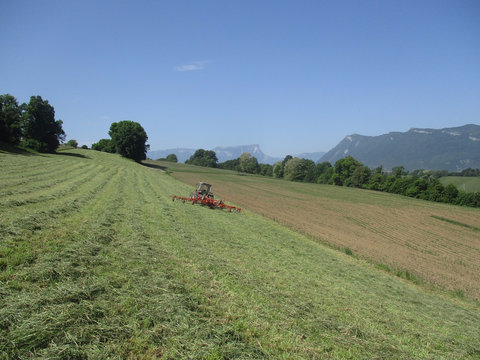 IMG_1431.jpg