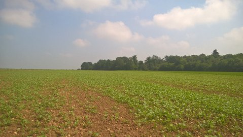 WP_20160528_11_56_40_Pro.jpg