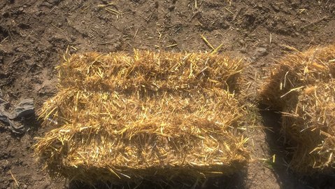 WP_20160619_09_14_49_Pro.jpg