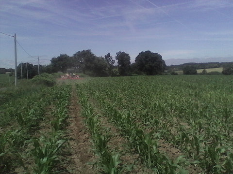 Axos 340 et bineuse 6 rangs