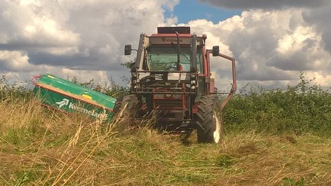 WP_20160714_15_22_14_Pro.jpg