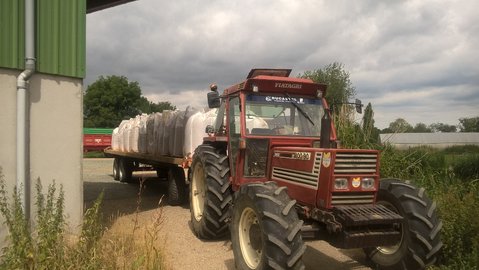 WP_20160724_12_20_06_Pro.jpg