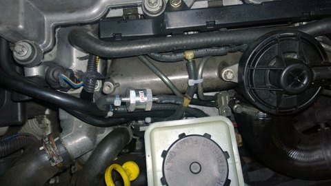 WP_20160801_21_02_10_Pro.jpg