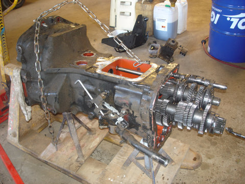 lamborghini 880 BDV 009.JPG