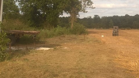 WP_20160828_18_16_50_Pro.jpg