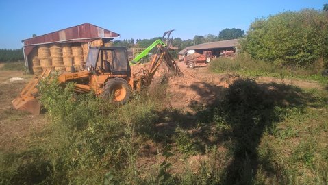 WP_20160831_10_42_37_Pro.jpg