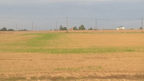 WP_20160925_09_35_13_Pro.jpg