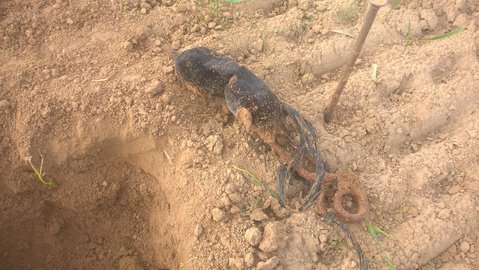 WP_20160925_09_33_01_Pro.jpg