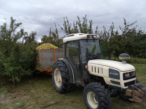 V10 mai 006.JPG