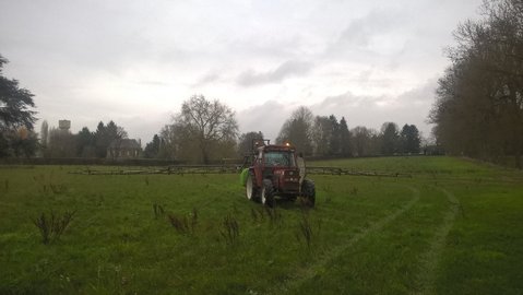 WP_20161127_16_08_30_Pro.jpg