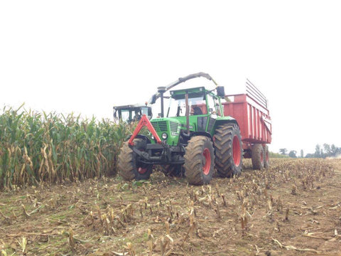 D10006_ensilage.jpg