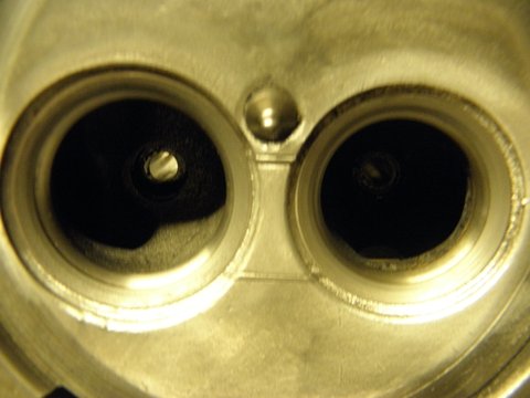 P1163954.JPG