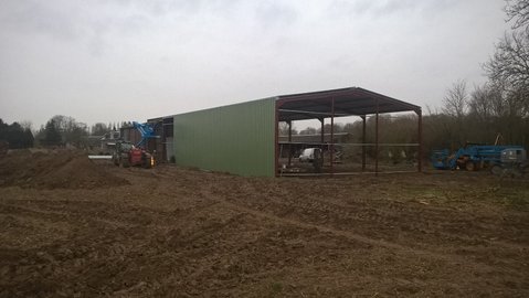 WP_20170129_17_01_27_Pro.jpg