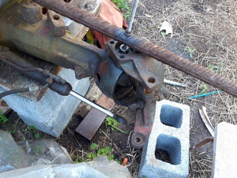 20201125_070820.jpg