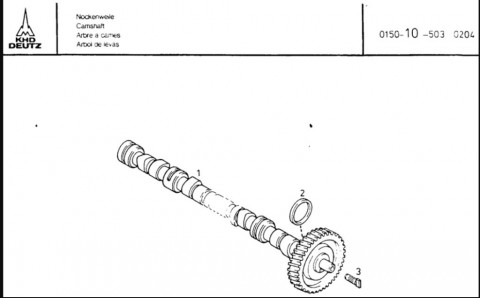 145.jpg