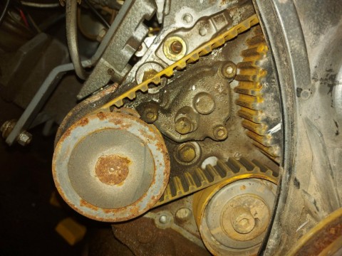20210305_140742.jpg