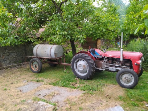 IMG_20200604_114423.jpg