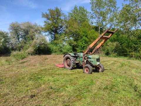 IMG_20230506_154821.jpg
