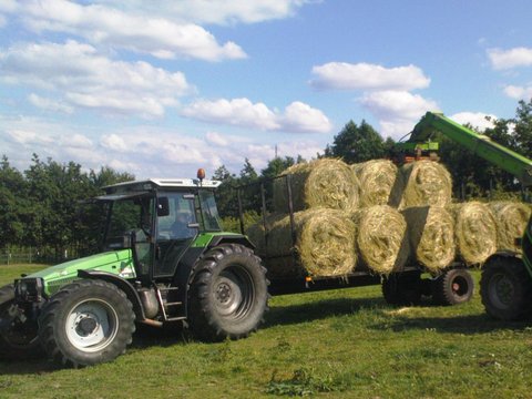 Agrostar au transport de boules.jpg