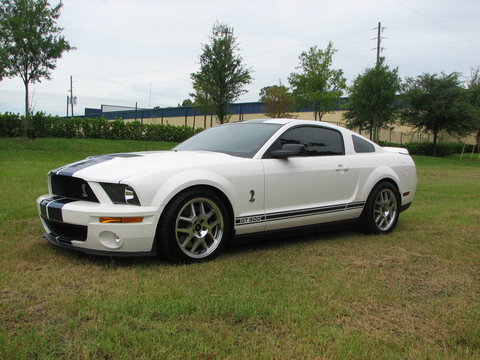 img0954q.jpg