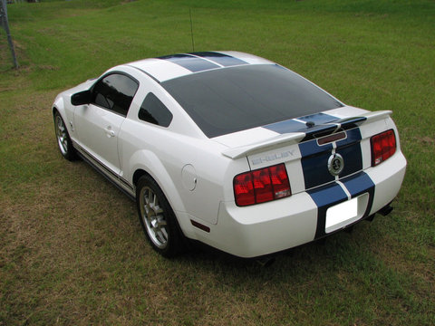 img0963t.jpg