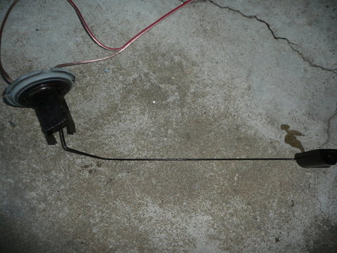 g1.jpg