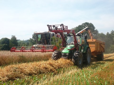 le 4.90 a la moisson+claas dominator 108