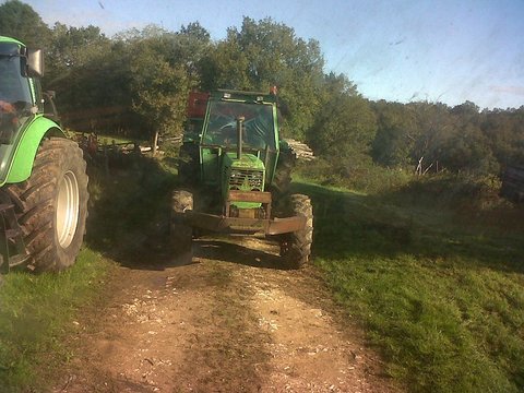 IMG-20121013-00352.jpg