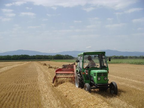 Deutz 1.JPG