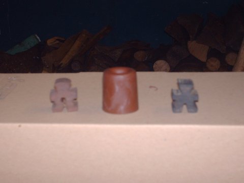 bouchon2 d4006.JPG