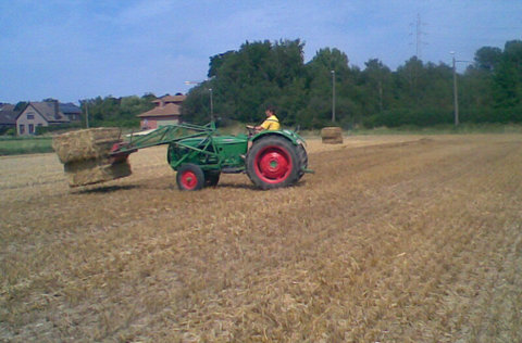 d409.jpg