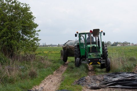DSC_1825.jpg