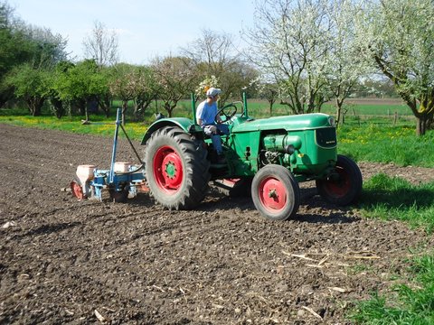Deutz D55 au semis de maïs (elsasser)