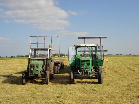 DSC01485.JPG