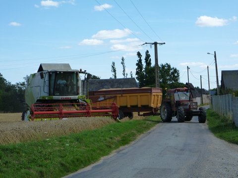 P1020504.jpg