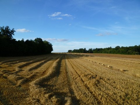 P1020524.jpg