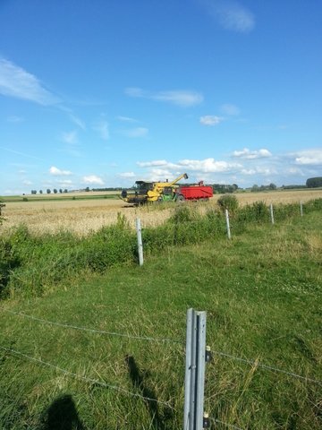 20130813_180120.jpg