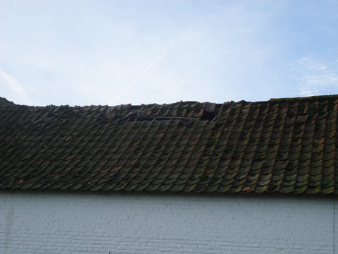 DSC00993.JPG