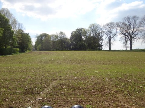 DSC01944.jpg