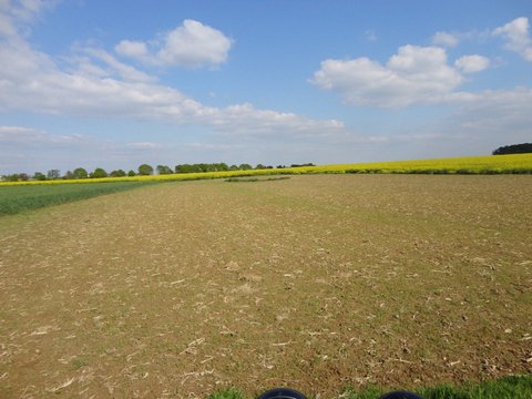 DSC01945.jpg