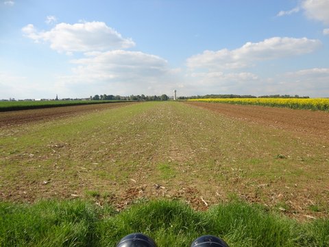 DSC01947.jpg