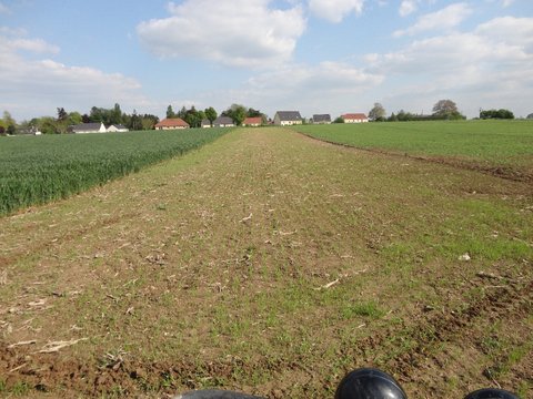 DSC01949.jpg