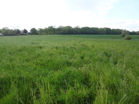 DSC01951.jpg