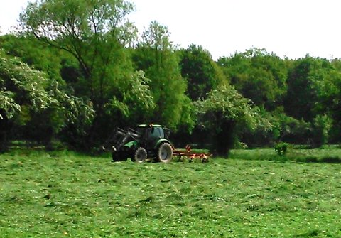 Agrotron 85mk2