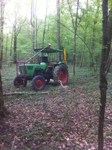 6206 au bois 2.jpg