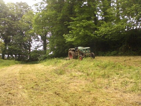 Photo0704.jpg